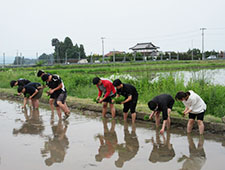 田植えをする大学生