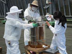 蜜箱を遠心分離機にかける市民サポーター