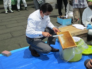 蜜蓋を取る若生富谷市長