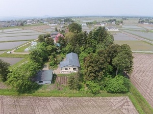 大崎市の屋敷林「居久根（いぐね）」