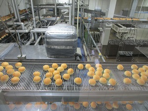 焼きたてのパンをコンベアに乗せて45分程度 冷ましている様子（名取工場）