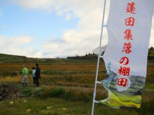 棚田へ移動し、現地を視察