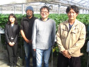 佐藤雄則代表取締役社長（右から２人目）、 阿部聡取締役副社長（左から２人目）、伊藤渓士イチゴ部門農場長（右）