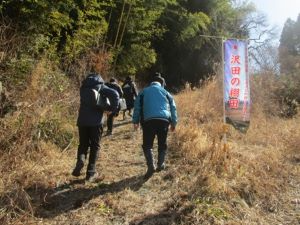 現地視察