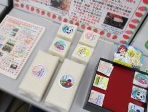展示の様子2