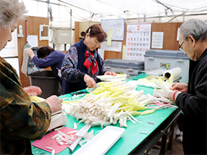 調整・パック詰め作業の様子