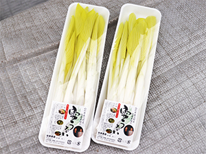 シャキシャキとした食感と 軽いぬめりがクセになる「雪うるい」