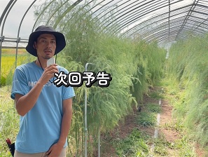公開動画（次回予告）