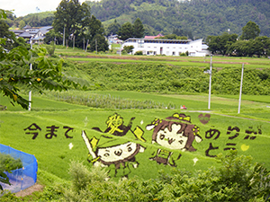 田んぼアート（かねたんとおせんちゃん） 山形県米沢市簗沢地区　小野川温泉付近