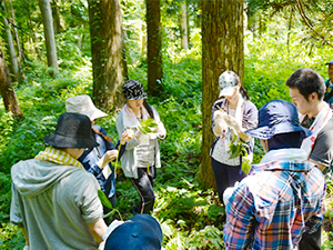 裏山での自然体験 