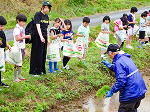 植え方指南 こうやって植えてね
