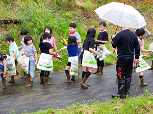 泥だらけになって田植え終了