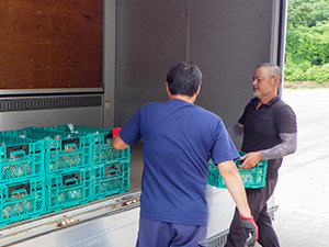 出荷の様子