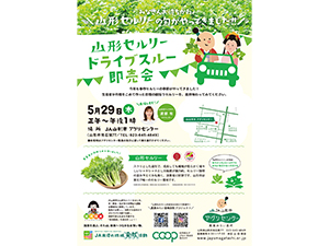 チラシ