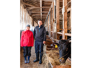 牛の世話をする鈴木親子