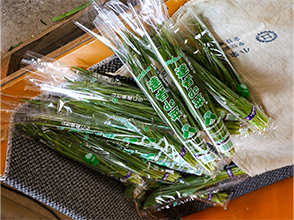 袋詰めされた「達者de菜」
