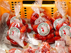 出荷用ミニトマト(産直用の商品)
