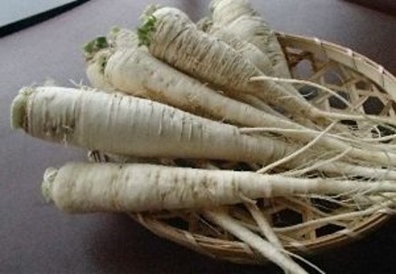 アザキ大根