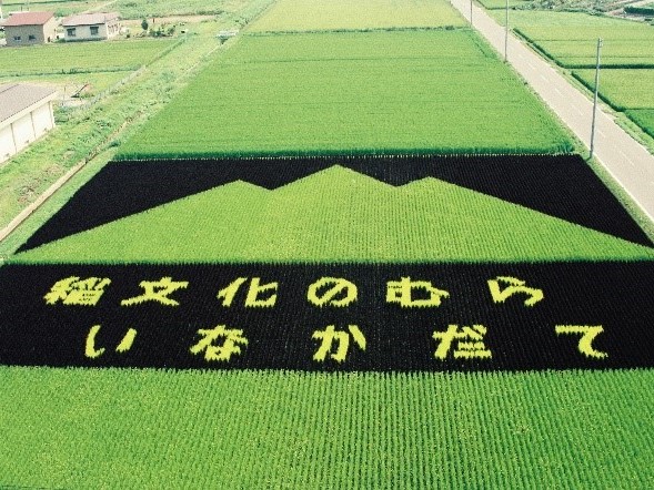田んぼアート