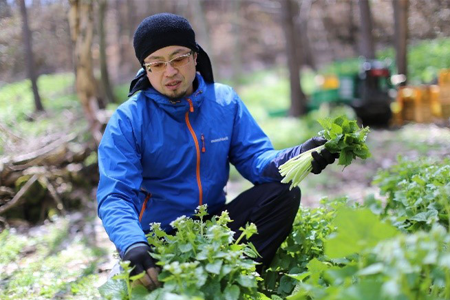 岩手地域からの便り 就農11年目の畑わさび農家 吉澤氏