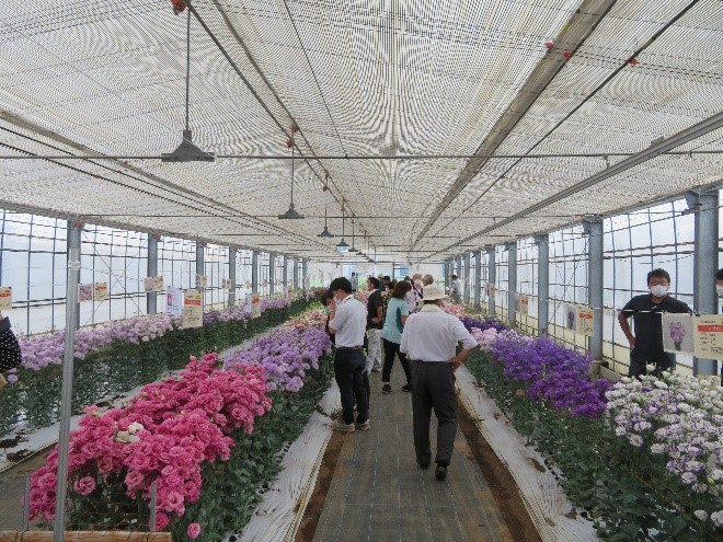 高品質な花を全国へ～庄内町の取組～