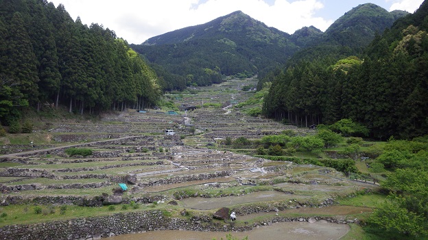 四谷の千枚田の風景（令和７年５月８日撮影）
