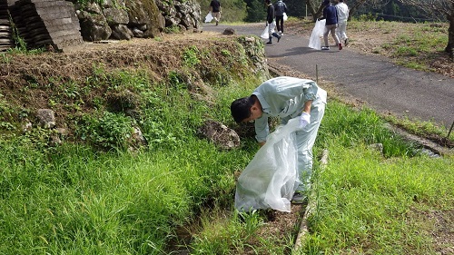 特定外来植物の駆除をする野中地方参事官（令和6年9月12日撮影）