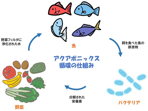 つなぐファームより資料提供
