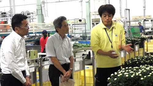 フラワーステーションでJA愛知みなみ職員から説明を受ける野中地方参事官（左側）、森局長（中央）（令和6年6月6日撮影）