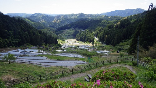 四谷の千枚田の上からの風景（令和6年5月9日撮影）