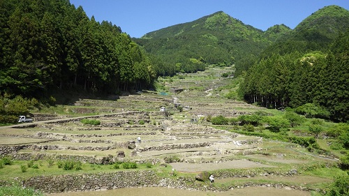 四谷の千枚田の下からの風景（令和6年5月9日撮影）