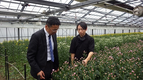 ほ場で意見交換の様子（右：山田裕也氏、左：野中地方参事官）（令和6年4月22日撮影）