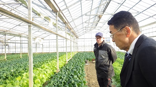 安藤農園施設内における意見交換風景（奥　安藤成彦さん、手前　野中地方参事官）（令和6年12月11日撮影）