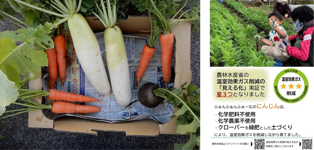 野菜とチラシ