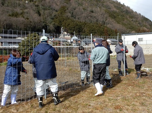 鳥獣侵入防止柵の設置作業体験の様子（令和7年1月30日撮影）