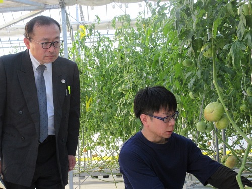 トマト独立ポット耕栽培システムの説明をする山田講師（右）と加納地方参事官（左）（令和6年12月10日撮影）
