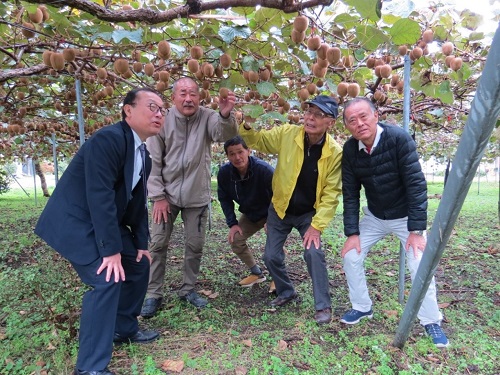 意見交換の様子（左から、加納地方参事官、山田達史理事、武藤保理事、神山博和代表理事、武藤好美理事）（令和6年11月29日撮影）