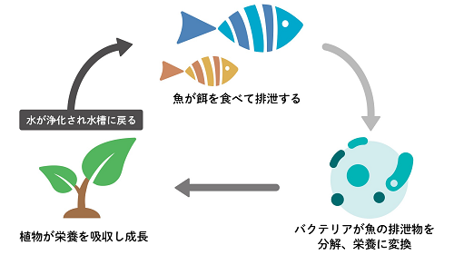 株式会社スーパーアプリより資料提供