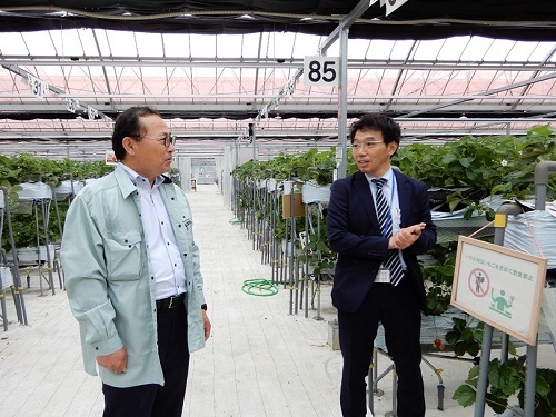 意見交換を行ういちご事業部近藤課長補佐と加納地方参事官