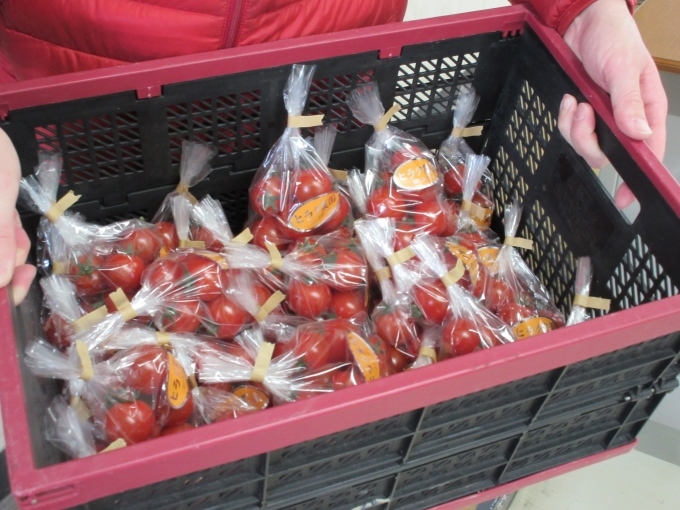 牧谷さんから生徒へ贈ったミニトマト