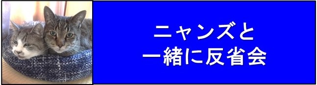 ニャンズと一緒に反省会のバナー