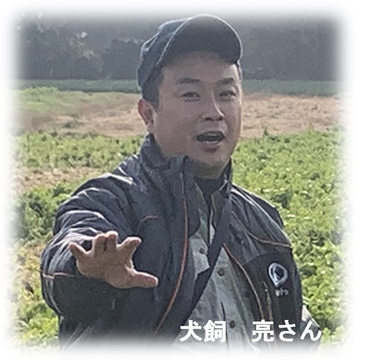 yaotomi