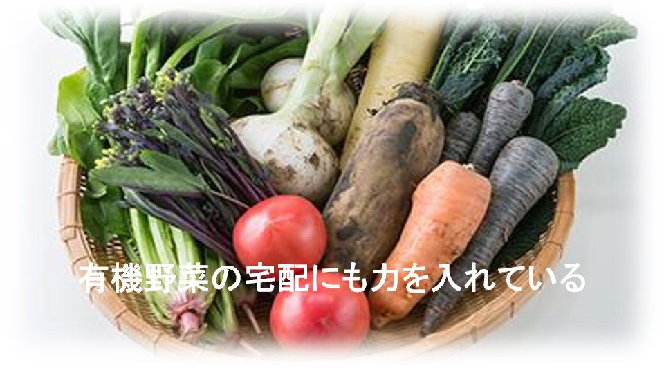 yaotomi野菜