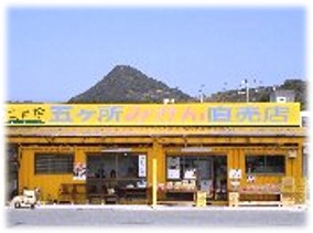 土実樹