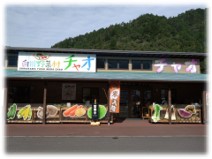 白川野菜村チャオ