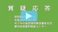 質疑応答