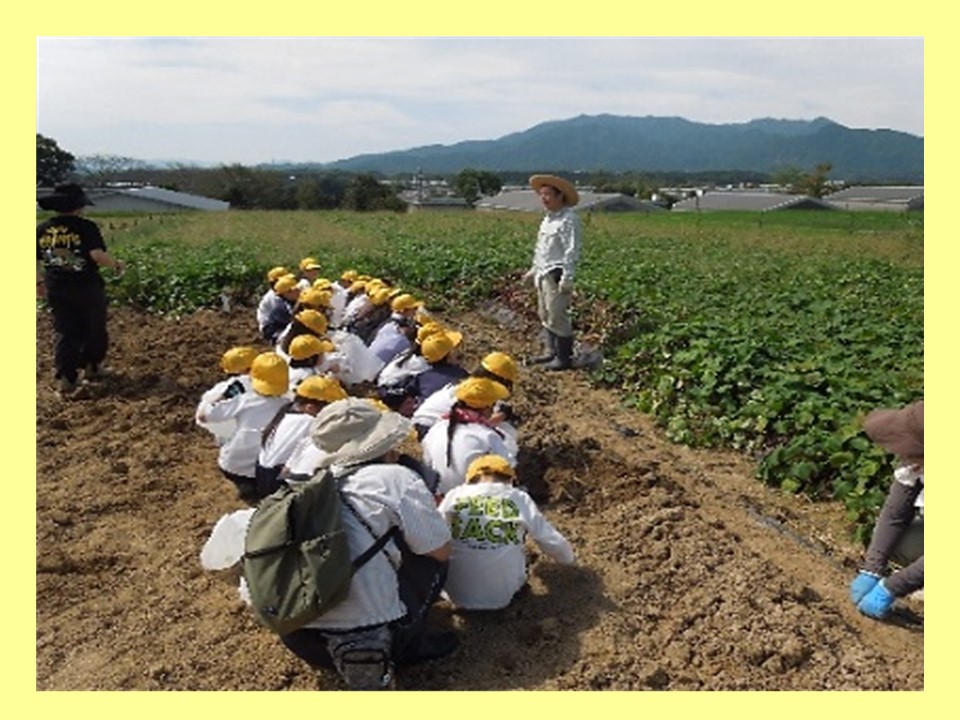 2025三重大学教育ファーム(稲刈り体験&芋掘り体験)1.jpg