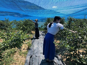 ブルーベリー狩り