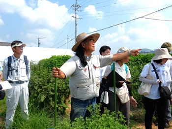 ほ場見学の様子