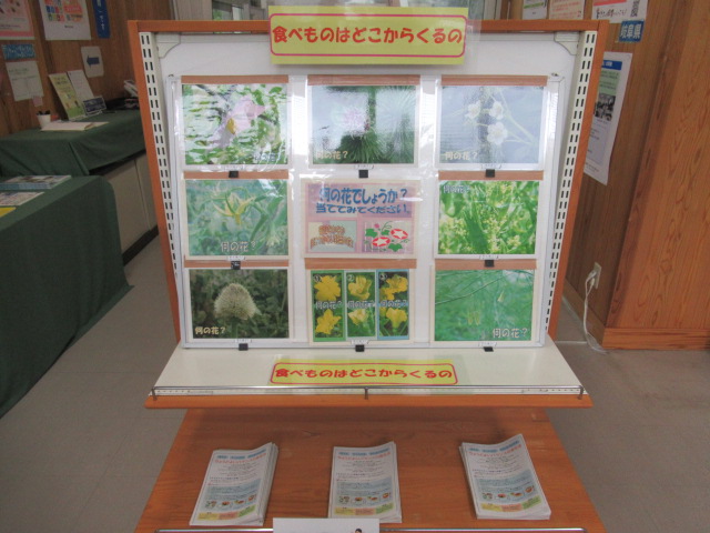 展示の様子6
